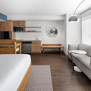 King Studio 1 King Sofa bed